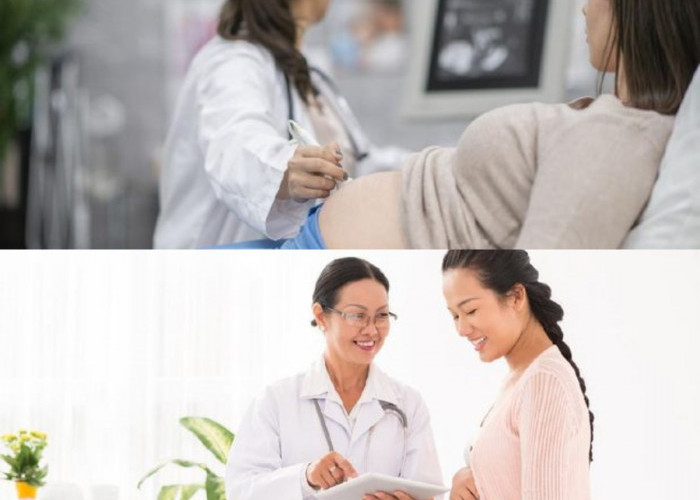 Panduan Lengkap Program Hamil: Menjaga Kesehatan Ibu dan Janin Sejak Awal Kehamilan