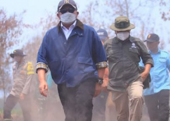 Gubernu Turun Langsung, Pantau Karhutla di Habitat Gajah Padang Sugihan