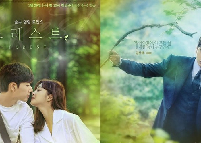 Drama Forest, Pertemuan Park Hae Jin dan Jo Bo Ah di Hutan Misterius, ini Sinopsisnya!