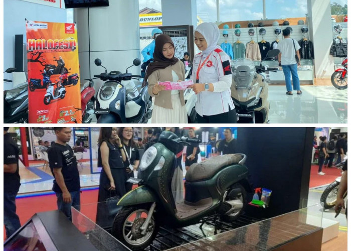 Sasis Eropa vs Jepang: Rahasia Perbedaan Stabilitas dan Kenyamanan di Setiap Lintasan