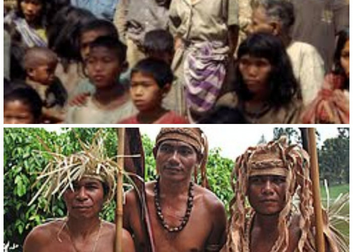 Tradisi Hari Moyang Suku Temuan: Warisan Leluhur yang Sarat Makna di Semenanjung Malaysia