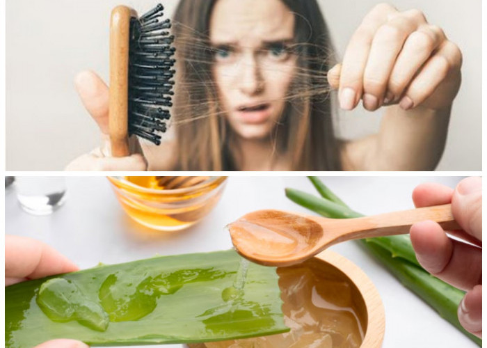 Tips Ampuh Mengatasi Rambut Rontok Secara Alami, Yuk Coba!