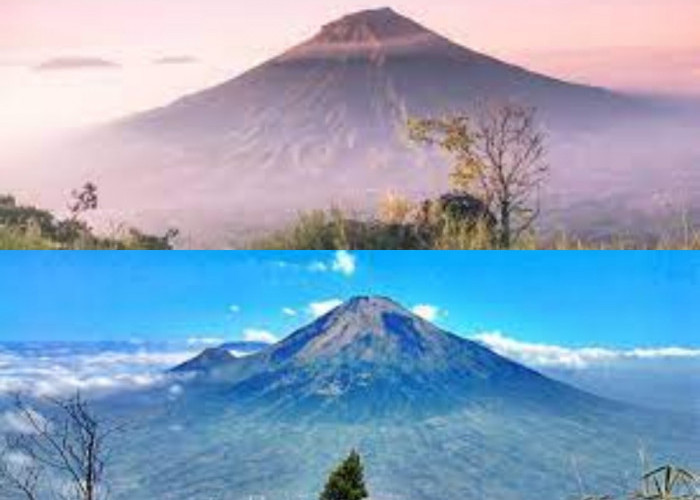 Menjajal Keindahan Alam di Puncak Tertinggi Ketiga di JawaTengah: Gunung Sindoro 