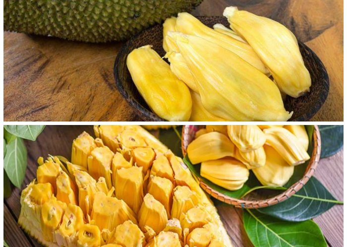 Rahasia Khasiat Buah Nangka: Superfood yang Baik untuk Tubuh dan Kesehatan