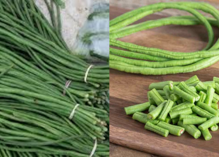 Manfaat Kacang Panjang bagi Kesehatan, Bikin Tubuh Lebih Fit dan Bugar!