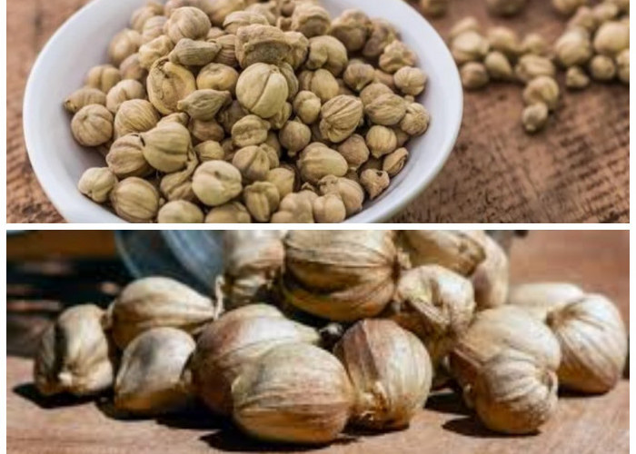 Lebih dari Sekadar Bumbu: Ini Khasiat Ajaib Kapulaga yang Jarang Diketahui!