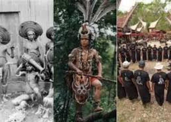 Keunikan dan Keberagaman Suku di Indonesia, Suku Bati Setengah Manusia Setengah Kekelawar