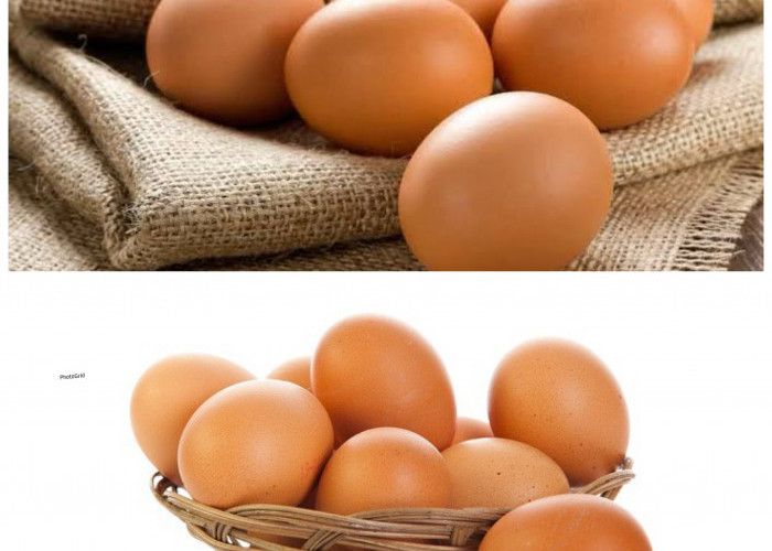 Manfaat Telur Ayam bagi Kesehatan Tubuh: Sumber Nutrisi Lengkap untuk Menunjang Hidup Sehat!