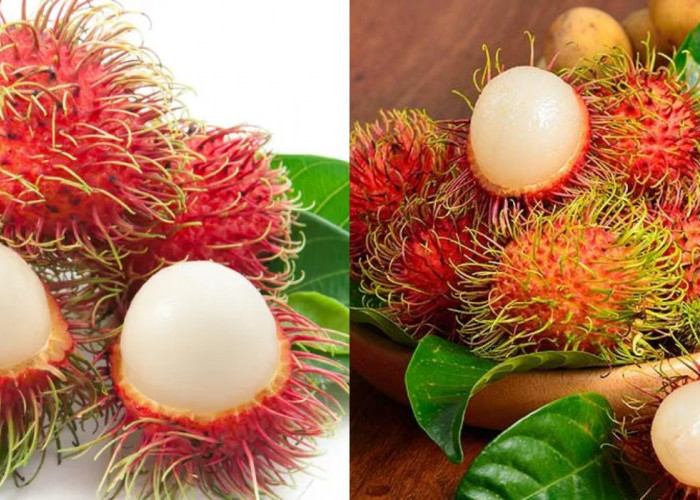 Manfaat Rajin Makan Rambutan, Buah Manis yang Bikin Sehat dan Segar