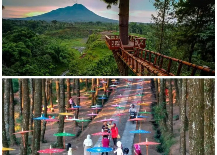 Magelang dalam Lensa: Eksplorasi Wisata Alam dan Tempat Selfie Kekinian