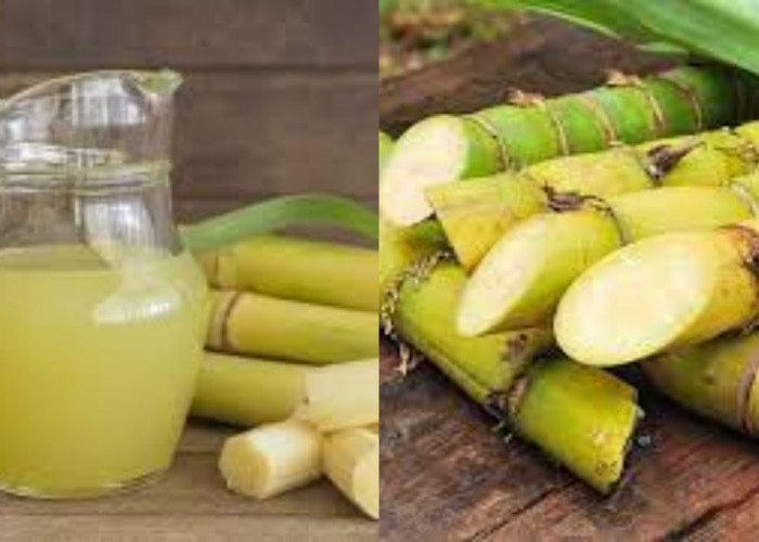 Jangan Dilewatkan, Inilah 8 Manfaat Air Tebu Untuk Kesehatan Yang Harus Kalian Tahu!