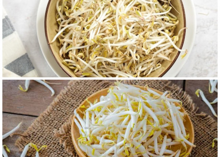 Manfaat Tauge bagi Kesehatan Tubuh: Sumber Nutrisi Alami untuk Menjaga Kebugaran dan Daya Tahan!