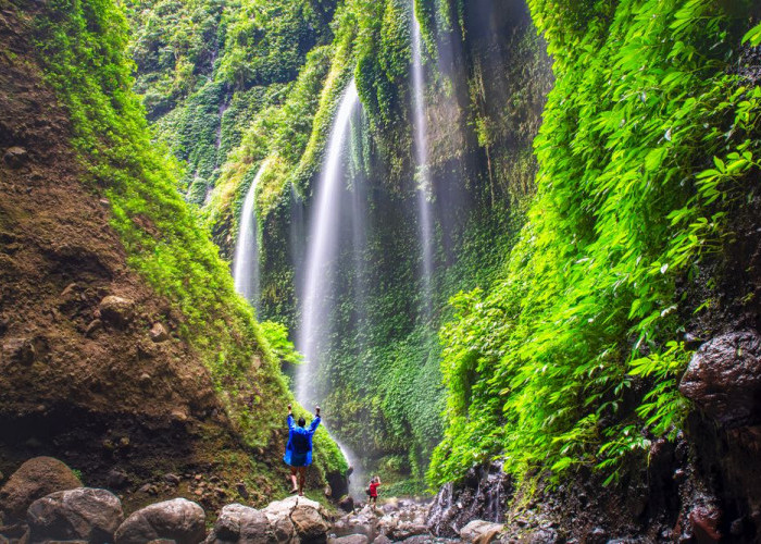 List 5 Wisata Memukau Jawa Timur! Kamu tau ga tempat ini? 