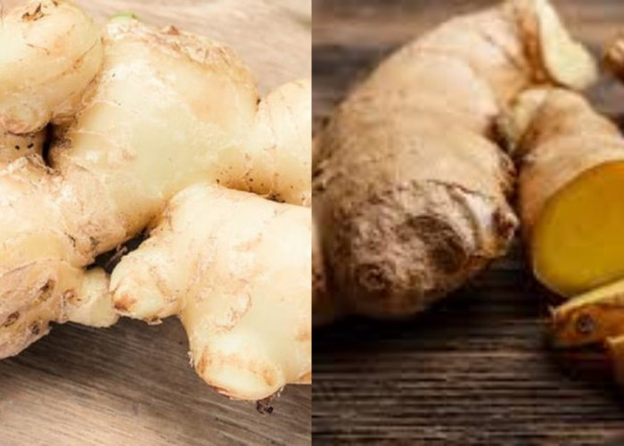 Khasiat Jahe untuk Kesehatan Tubuh dan Cara Mengolahnya Menjadi Minuman!