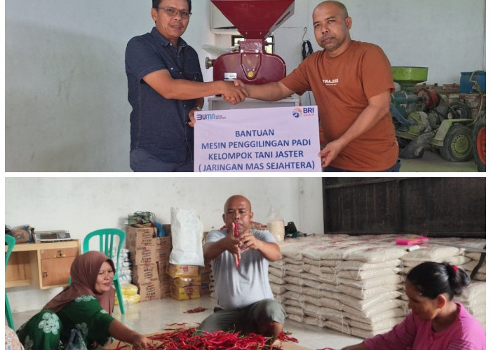 BRI Dukung Koperasi Pangan MBG, Wujud Nyata Peran Perbankan dalam Ketahanan Gizi Nasional