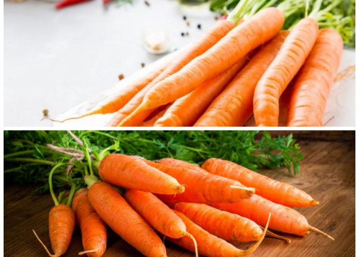Manfaat Wortel bagi Kesehatan: Rahasia Nutrisi Si Oranye untuk Tubuh yang Lebih Sehat!