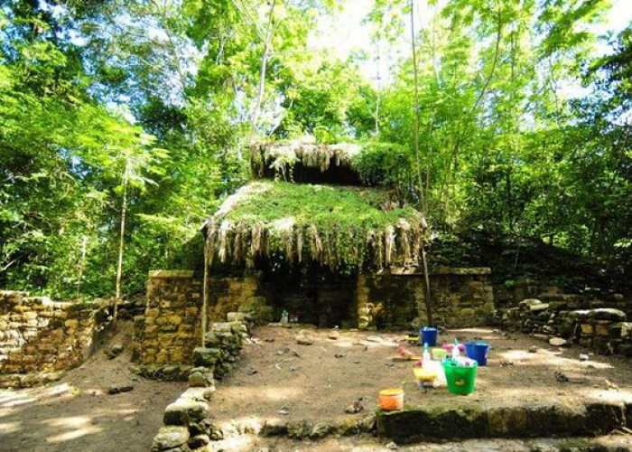 Gak Disangka! Terdapat Istana di Dalam Hutan, Penemuan Seluas 5 Ha di Jawa Timur