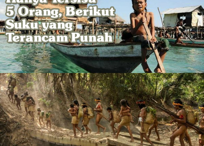 Hanya Tersisa Beberapa Orang, Akankah Suku Piripkura Punah?