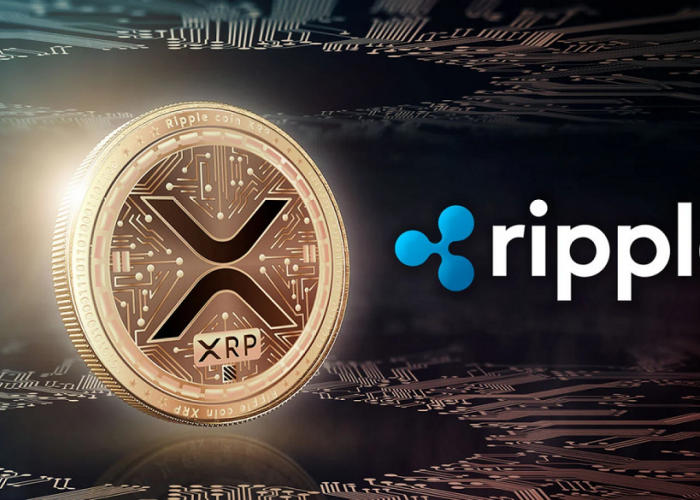 XRP Ripple Mencatat Kinerja Mengejutkan di Pasar Kripto, Simak Ulasannya Disini!