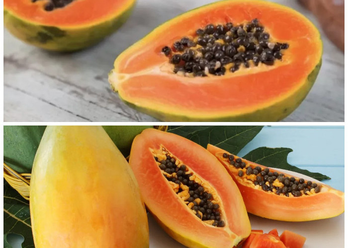 8 Manfaat Pepaya untuk Kesehatan Tubuh: Buah Tropis yang Kaya Gizi dan Khasiat!