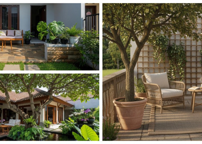 Bikin Teras Rumah Lebih Hidup, Ini 8 Pohon Peneduh dalam Pot yang Lagi Tren