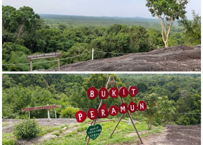 Sejarah Bukit Peramun: Dari Tempat Meramu Obat Tradisional hingga Wisata Digital Berbasis Kearifan!