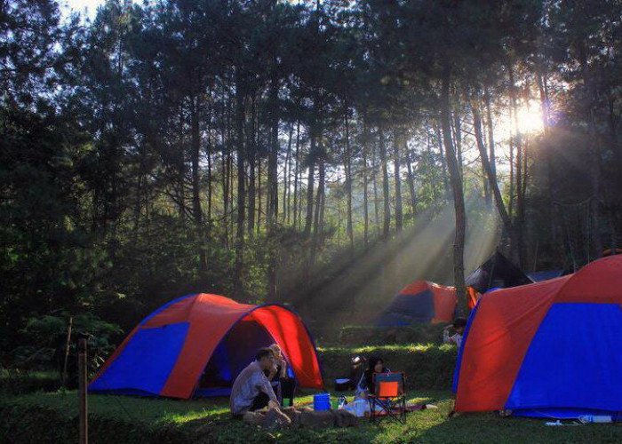 Dijamin Rileks, Inilah Rekomendasi 5 Tempat Camping Di Bogor! 