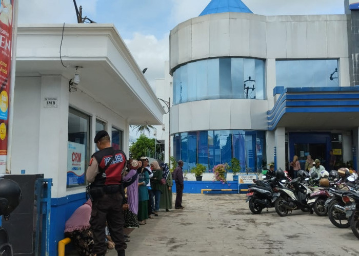 Harga Kopi Naik, Kesejahteraan Petani Meningkat, Bank SumselBabel Edukasi Petani Kopi Tentang Hal Ini!