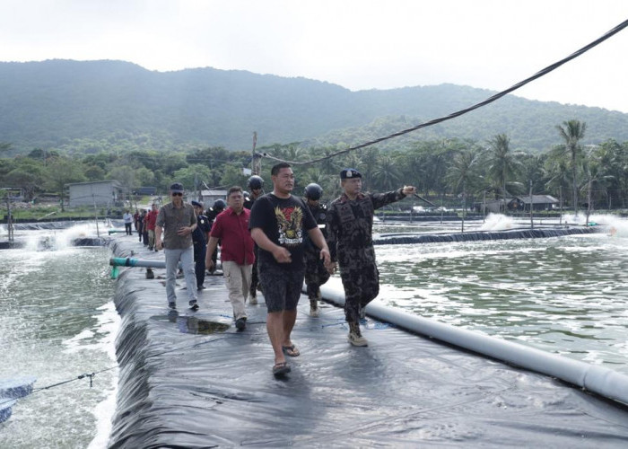 Respon Cepat Pengaduan Nelayan, KKP Sidak Tambak Udang Karimunjawa