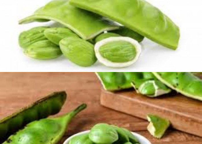  Ini Keuntungan Petai untuk Kesehatan Anda!