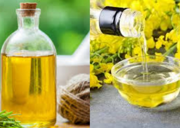  Harus Tahu Ini Manfaat Minyak Kanola Untuk Kesehatan Jantung Anak!