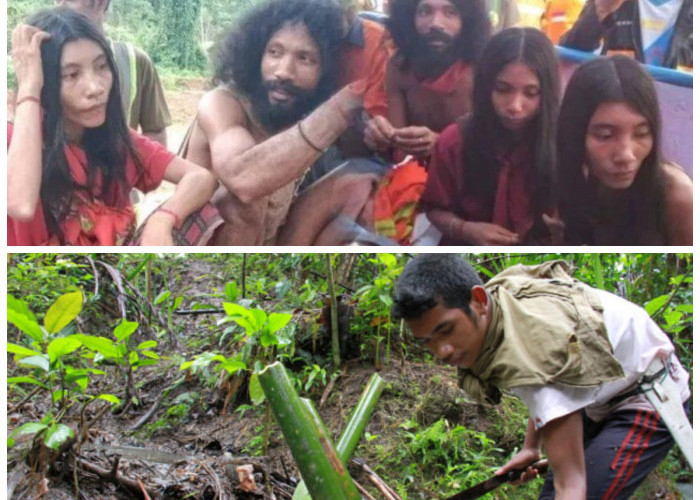 Suku Tugotil, Pelestari Hutan Asli Pulau Halmahera, Maluku