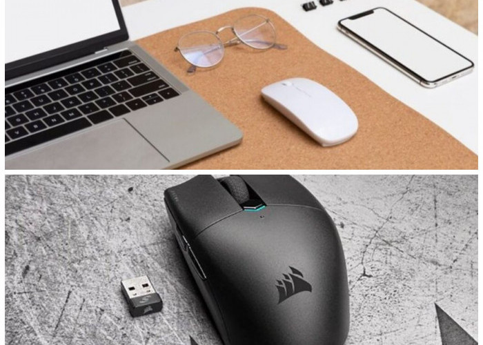 Mouse Terbaik untuk MacBook: 5 Merk yang Wajib Anda Coba!