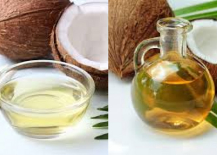 Yuk Intip! 5 Manfaat Minyak Kelapa Untuk Kesehatan Tubuh Berikut Penjelasanya