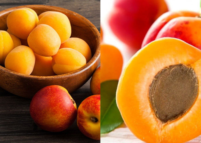 Manfaat Buah Aprikot: Penting untuk Kesehatan dan Layak Masuk Menu Harian