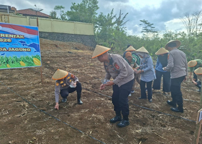 Wujudkan Swasembada Pangan, Polres Pagar Alam Gelar Tanam Jagung Serentak Kuartal I 2026
