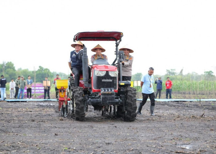 Putus Rantai Tengkulak Gandeng 4 Bank Himbara, Salurkan KUR bagi Petani Jagung