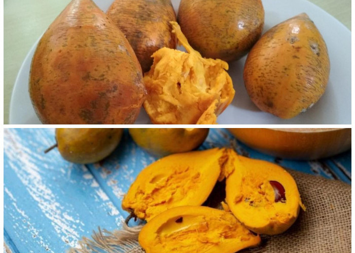 Jarang Ditemui! Buah Tropis Ini Punya Khasiat Luar Biasa untuk Menjaga Kesehatan