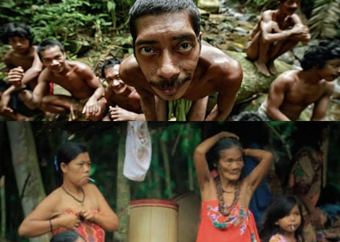Mengulik Sejarah Suku Kubu di Indonesia, Suku Tradisional di Pedalaman Sumatera