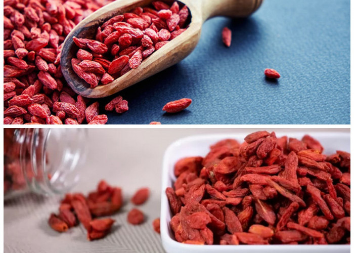 Goji Berry dan Kesehatan: Rahasia Nutrisi Superfood yang Jarang Diketahui