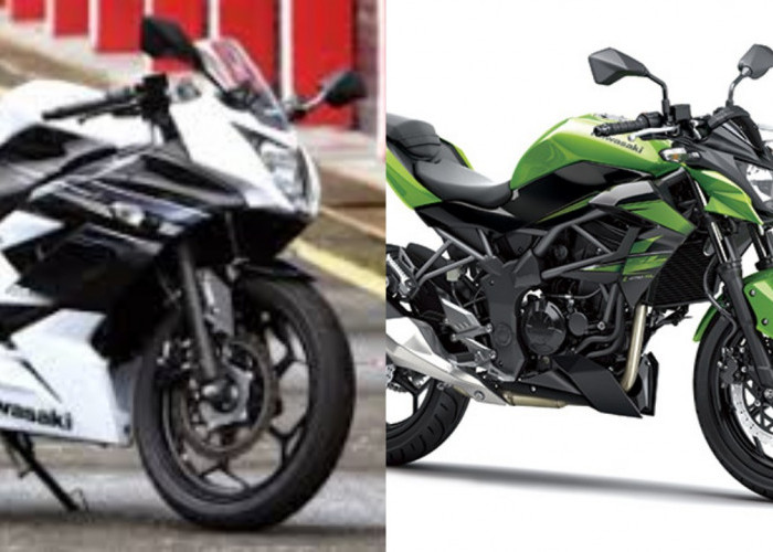 Kelebihan dan Kelemahan Kawasaki Ninja 250, Motor Sport 2 Silinder Favorit Anak Muda!