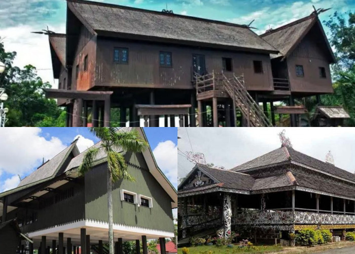 Menyelusuri Sejarah Rumah Adat Dayak, yang Unik dan Penuh Filosofi Beserta Ciri Khasnya!