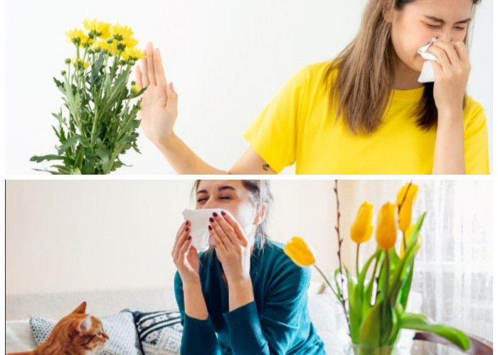  Kenali Penyebab Alergi Serbuk Bunga dan Cara Efektif Mengatasinya
