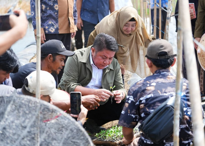 SSTP Jadi Laboratorium Ketahanan Pangan, Herman Deru Dorong Inovasi Pertanian Berbasis Riset
