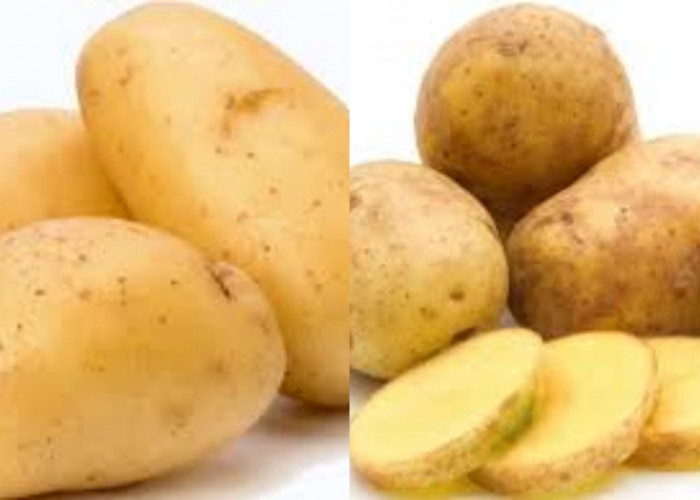 Wajib Tahu Inilah 7 Manfaat Kentang dan Cara Tepat Mengolahnya!