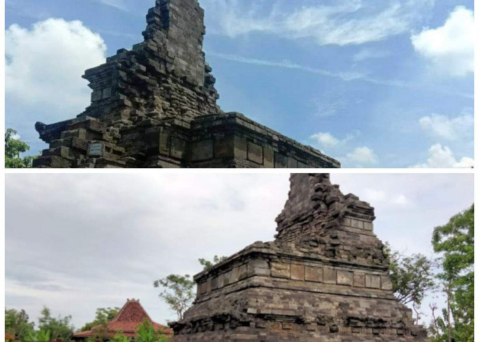 Candi Arimbi Mojokerto: Jejak Spiritualitas dan Keagungan Kerajaan Majapahit yang Abadi