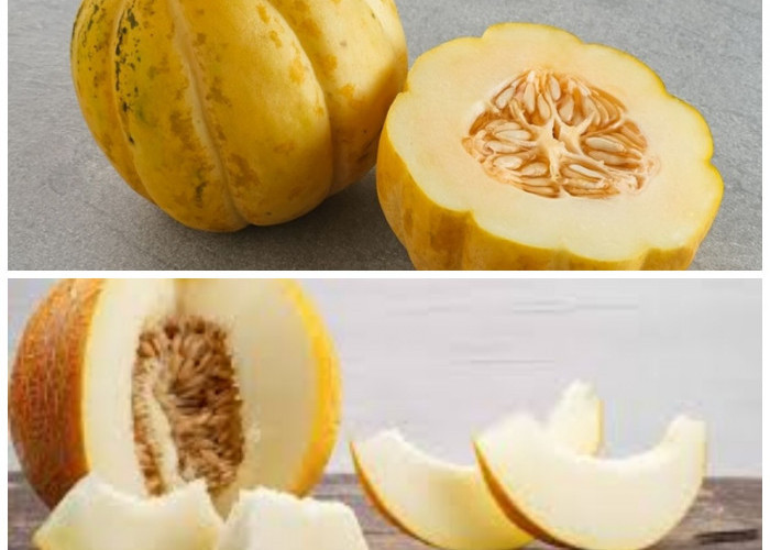 Manfaat Buah Blewah untuk Tubuh: 6 Khasiat Penting dari Hidrasi hingga Kecantikan Kulit