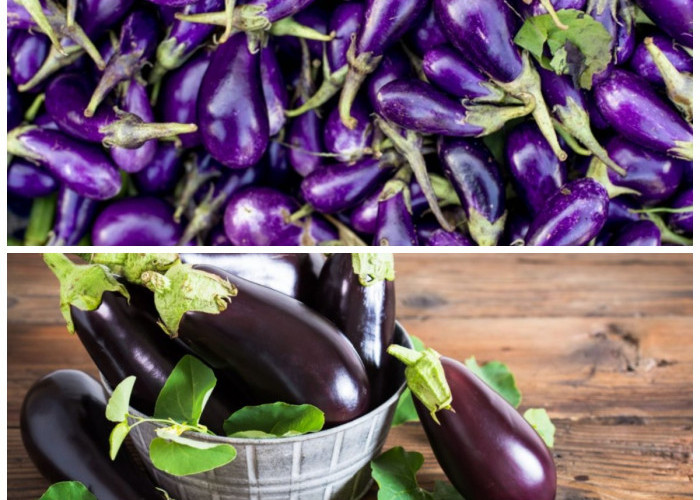 7 Manfaat Terong yang Ampuh untuk Menjaga Kesehatan Jantung