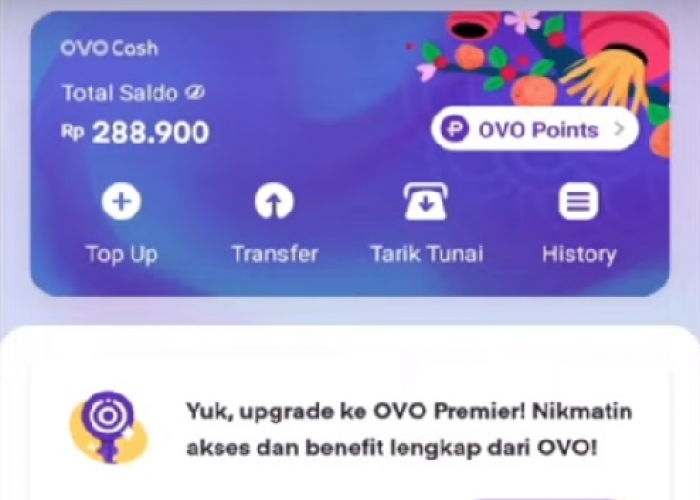 Saldo OVO 350.000 Rupiah Gratis? Jangan Terjebak, Simak Fakta-Faktanya!