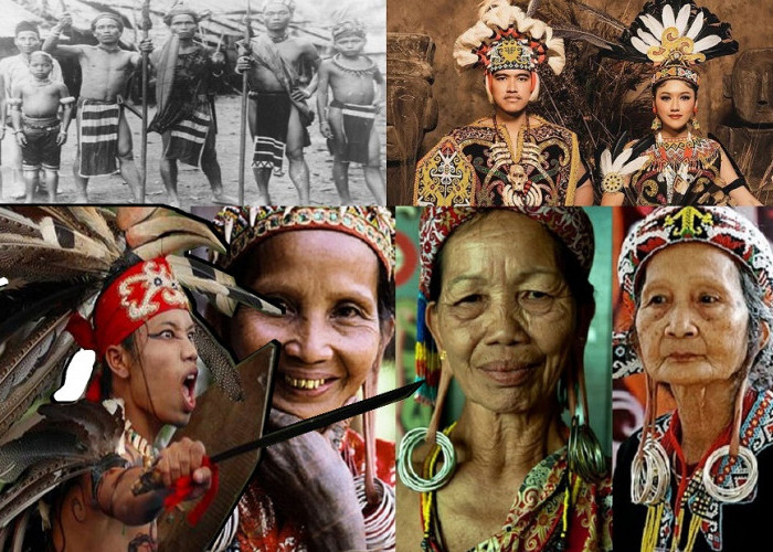 Sejarah Singkat Suku Dayak di Kalimantan, Miliki 4 Tradisi Unik Yang Masih Eksis